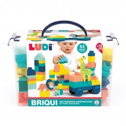 Briqui mis primeras...