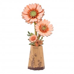 Light Orange Gerbera...