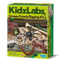 Kidz Labs Excavación de...
