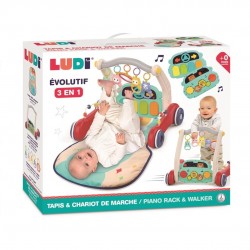 Ludi Carrito y alformbra...