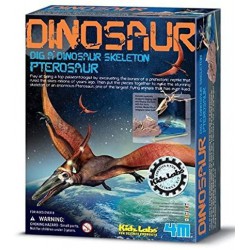 Dino Pterosaur