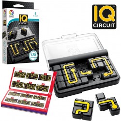 IQ Circuit. Smart games